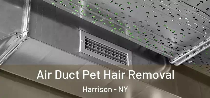 Air Duct Pet Hair Removal Harrison - NY