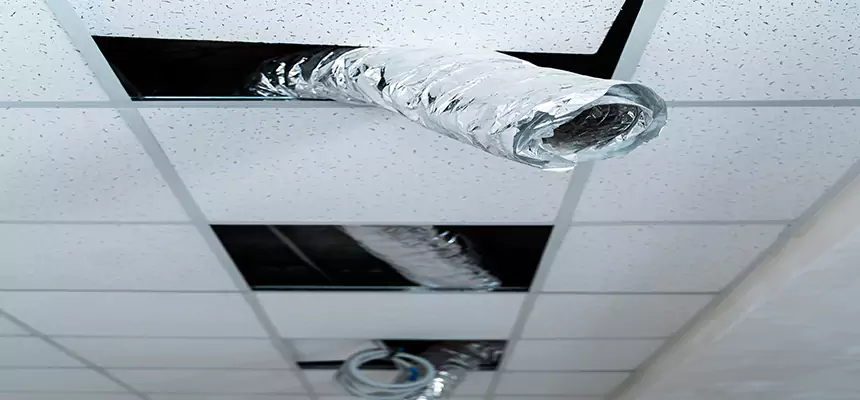 Affordable HVAC Sanitizing After Pest Removal in Harrison