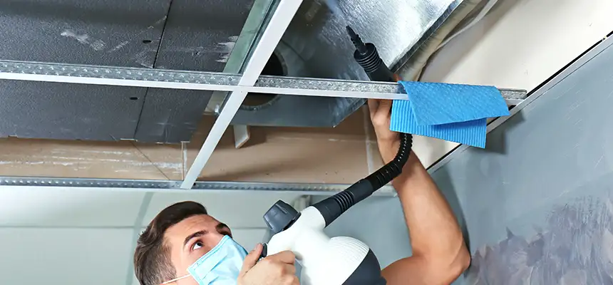 Our Air Duct Rodent Removal Services in Harrison, NY