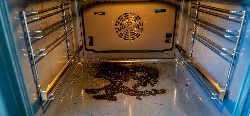 Our Dryer Vent Mold Cleaning Services in Harrison, NY