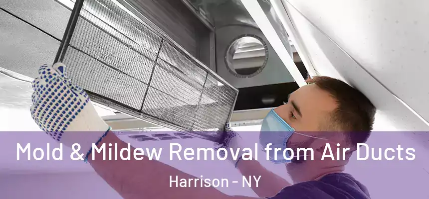 Mold & Mildew Removal from Air Ducts Harrison - NY