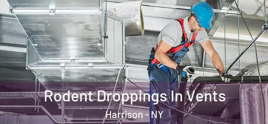  Rodent Droppings In Vents Harrison - NY