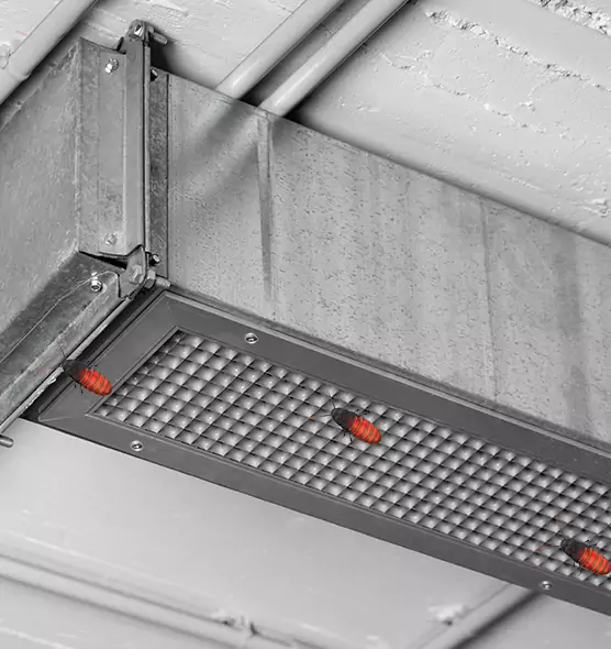 Affordable Insect Removal from Air Ducts in Harrison, NY