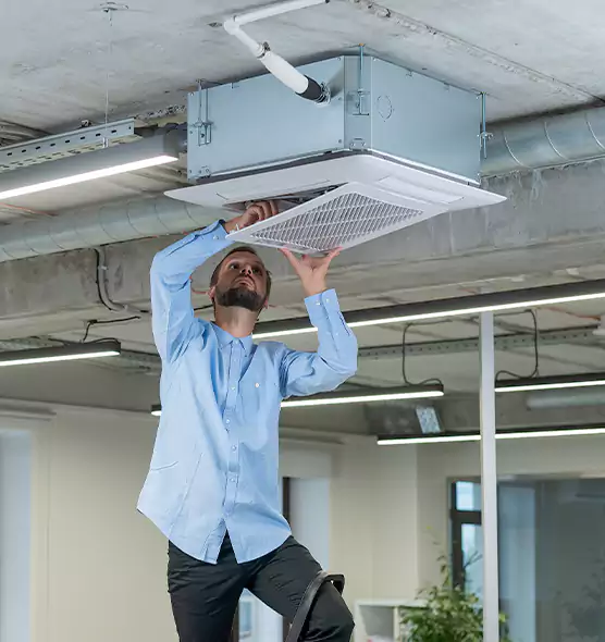 Advanced Rodent Droppings In Vents in Harrison, NY