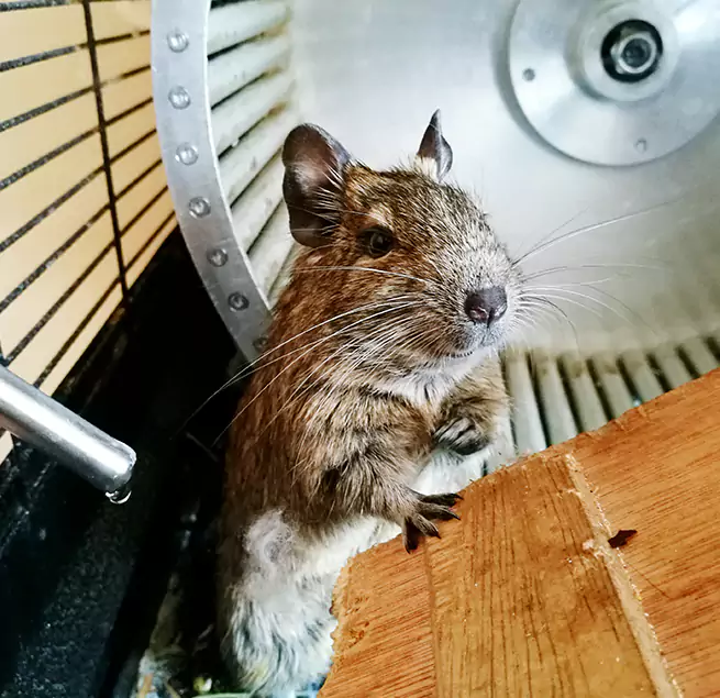 Why Homeowners & Businesses Trust Us Harrison, NY