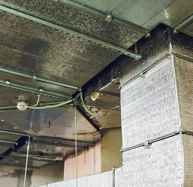 Why Homeowners & Businesses Trust Us in Harrison, NY?